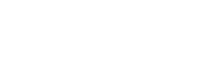 Polymeris
